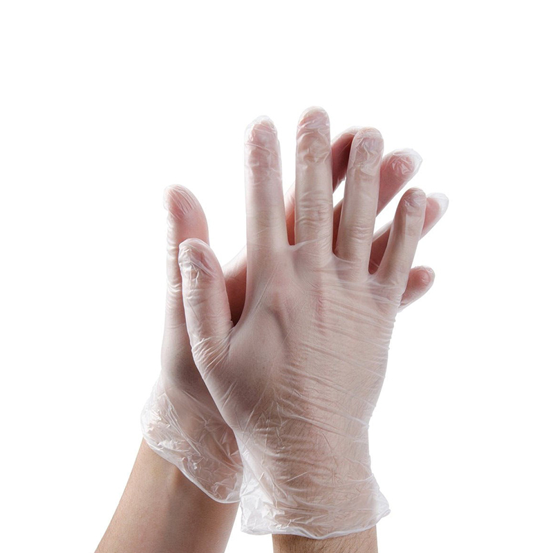 Disposable Vinyl Gloves 100