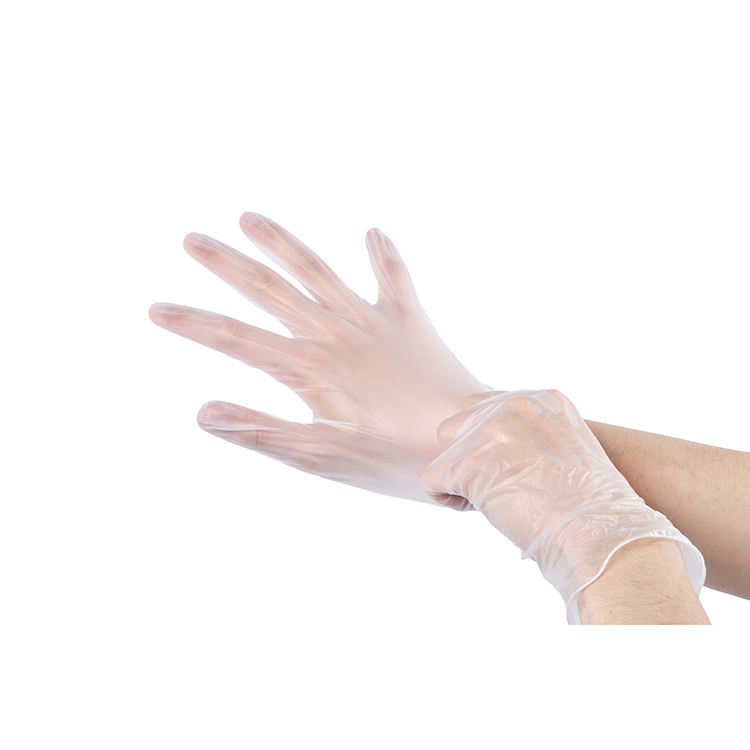 Disposable Vinyl Gloves Home Bargains